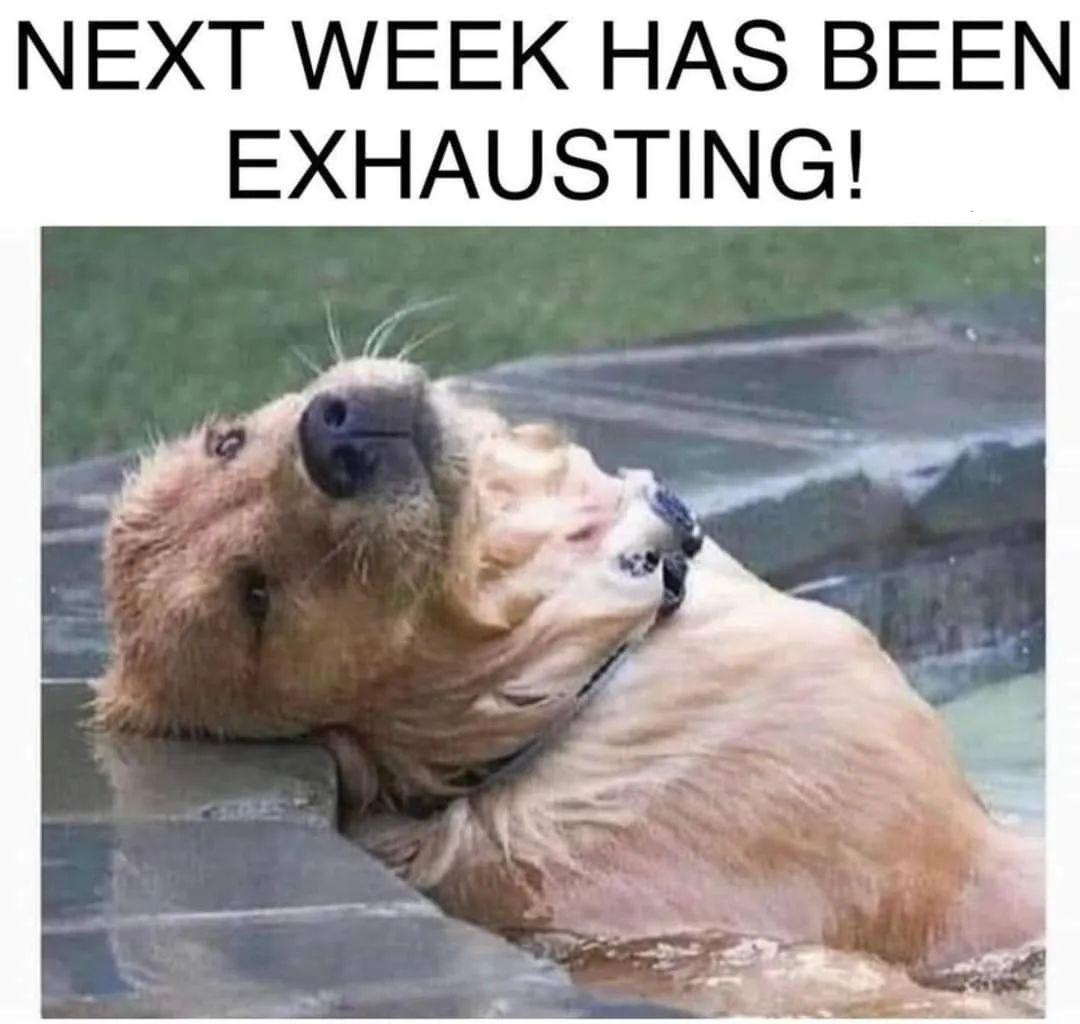 NEXT WEEK HAS BEEN EXHAUSTING