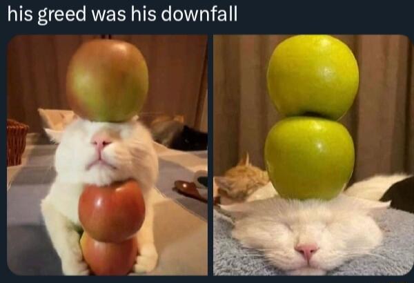 his greed was his downfall