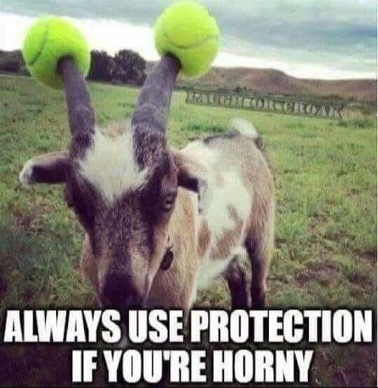 ALWAYS USE PROTECTION IF YOU'RE HORNY LAUGH OR CROAK