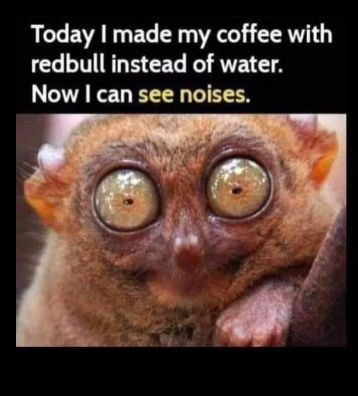 Today I made my coffee with redbull instead of water. Now I can see noises.