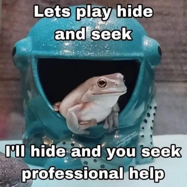 Lets play hide
and seek
I'll hide and you seek
professional help