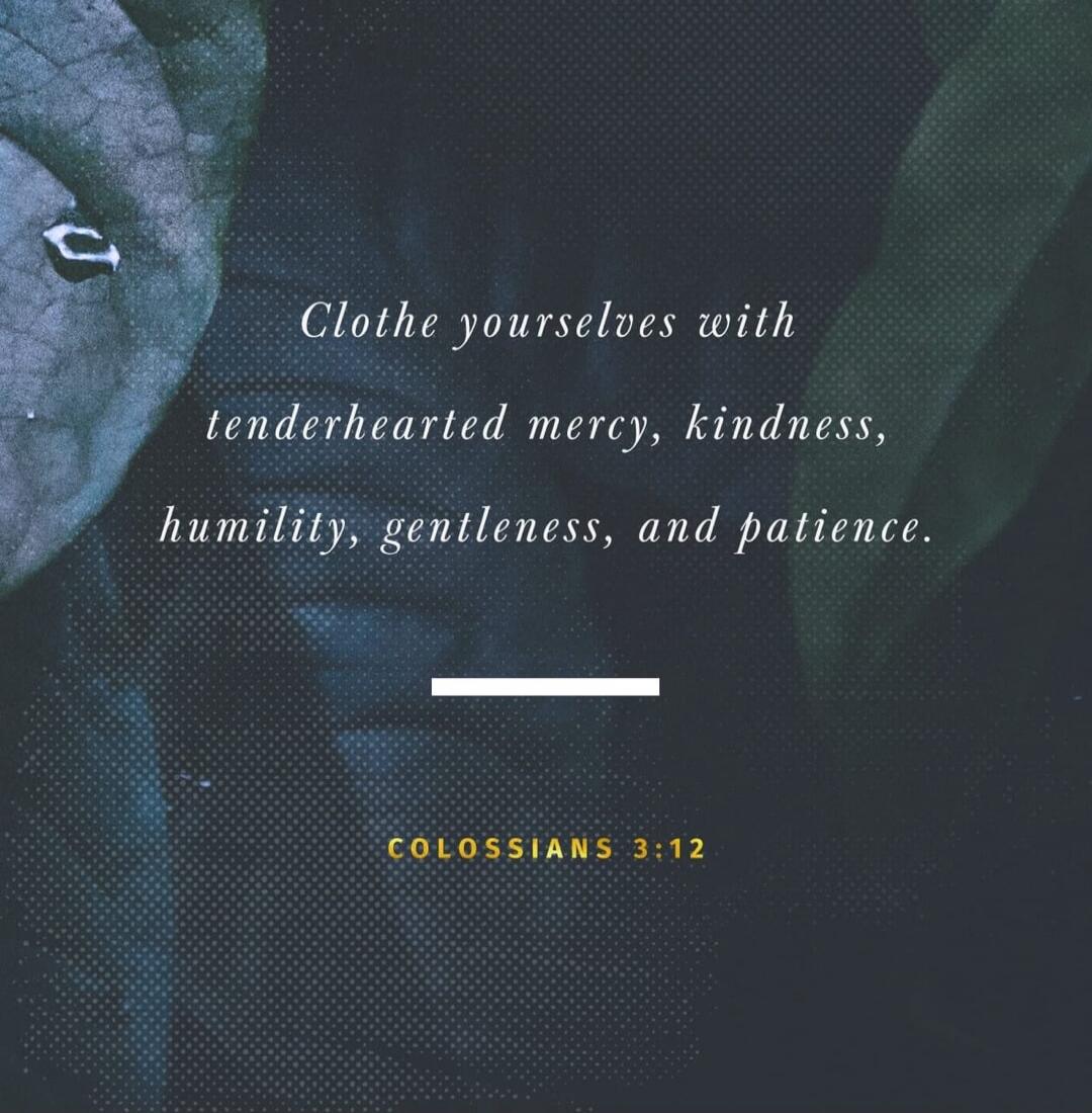 Clothe yourselves with tenderhearted mercy, kindness, humility, gentleness, and patience. COLOSSIANS 3:12