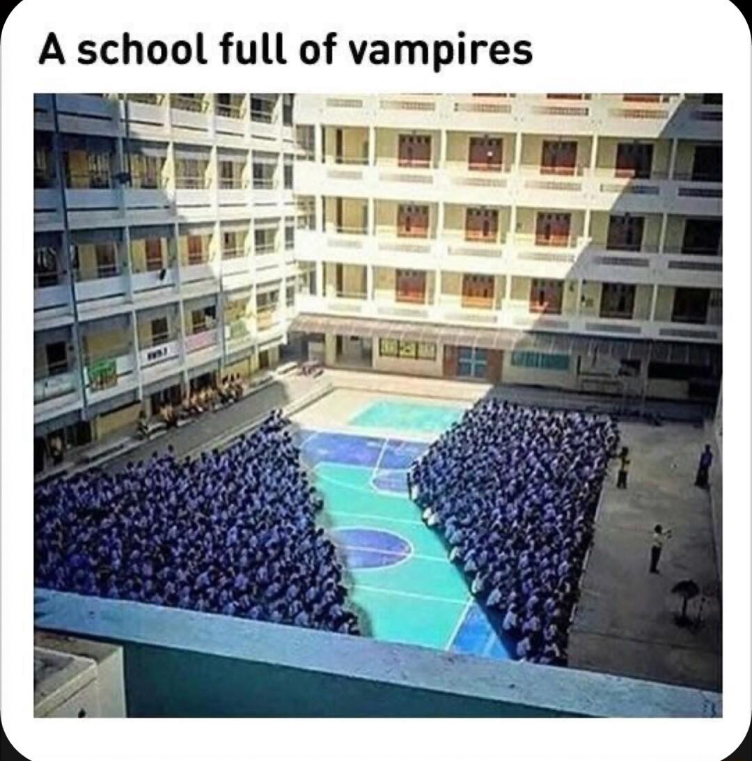 A school full of vampires