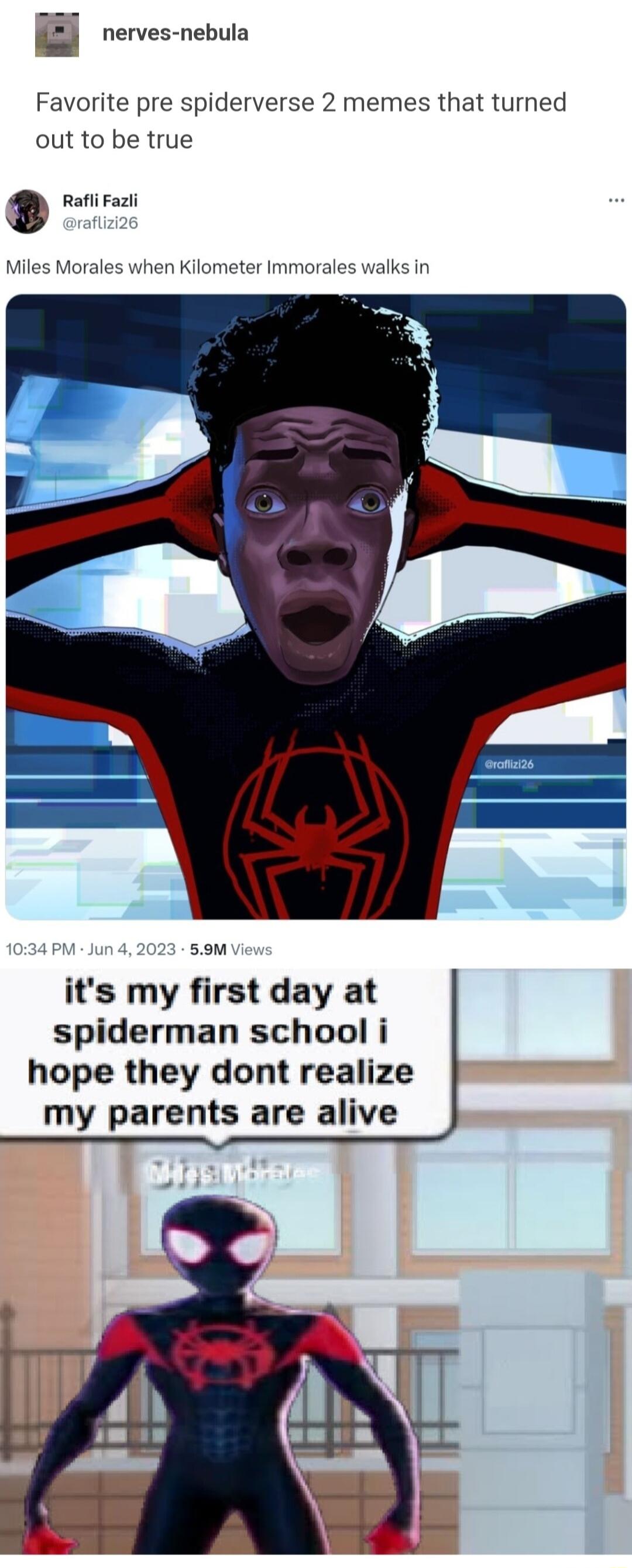 W nerves nebula Favorite pre spiderverse 2 memes that turned out to be true s Rafli Fazli Miles Morales when Kilometer Imm walks in som its my first day at spiderman school i hope they dont realize my parents are alive