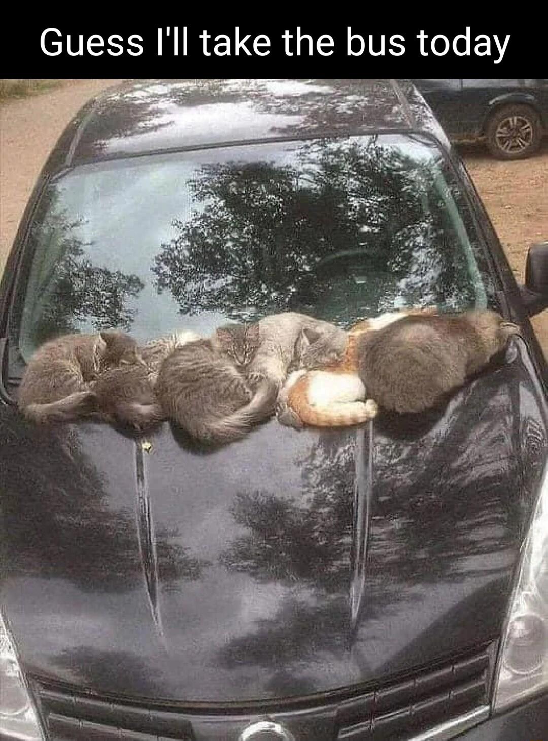 N R T CRUTN JIER o e Y