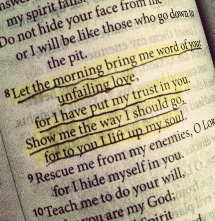 Let the morning bring me word of your unfailing love, for I have put my trust in you. Show me the way I should go, for to you I lift up my soul.