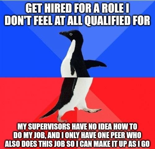 GET HIRED FORAROLE DONT FEELAT ALL QUALIFIED FOR A MY SUPERVISORS HAVE NO IDER HOW T0 D0 MY JOB AND ONLY HAVE ONE PEER WHO ALS0 DOES THIS JOB S0 I CAN MAKE IT UP AS GO