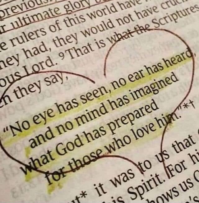 No eye has seen, no ear has heard, and no mind has imagined what God has prepared for those who love him.