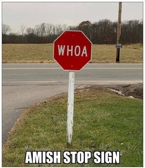 WHOA AMISH STOP SIGN