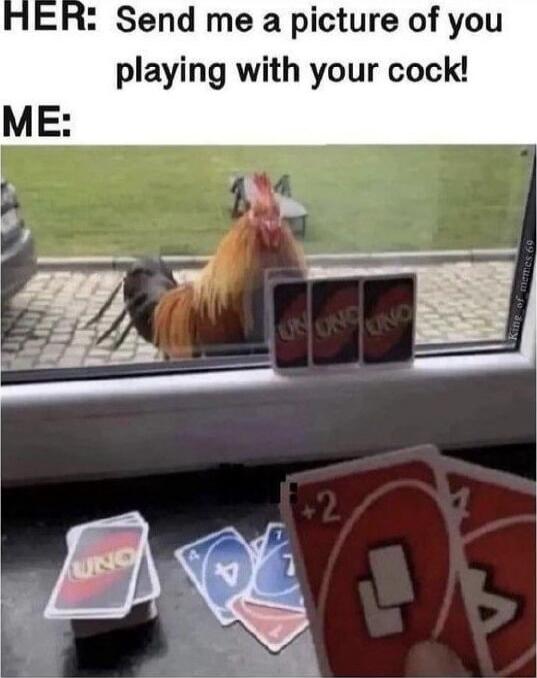 HER: Send me a picture of you playing with your cock! ME: