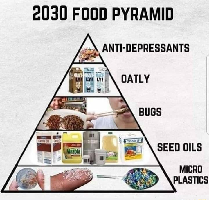 2030 FOOD PYRAMID A ANTI DEPRESSANTS