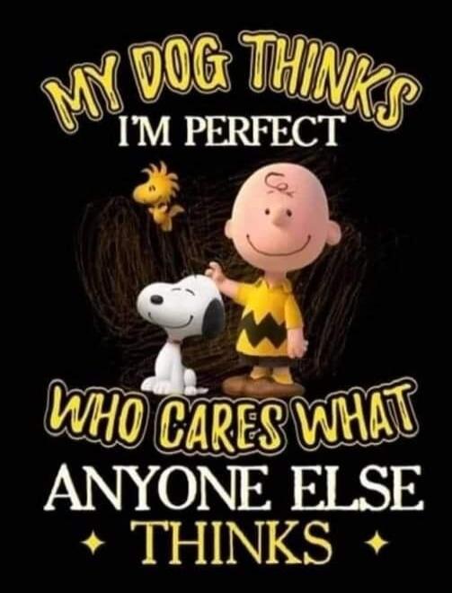 MY DOG THINKS I'M PERFECT WHO CARES WHAT ANYONE ELSE THINKS