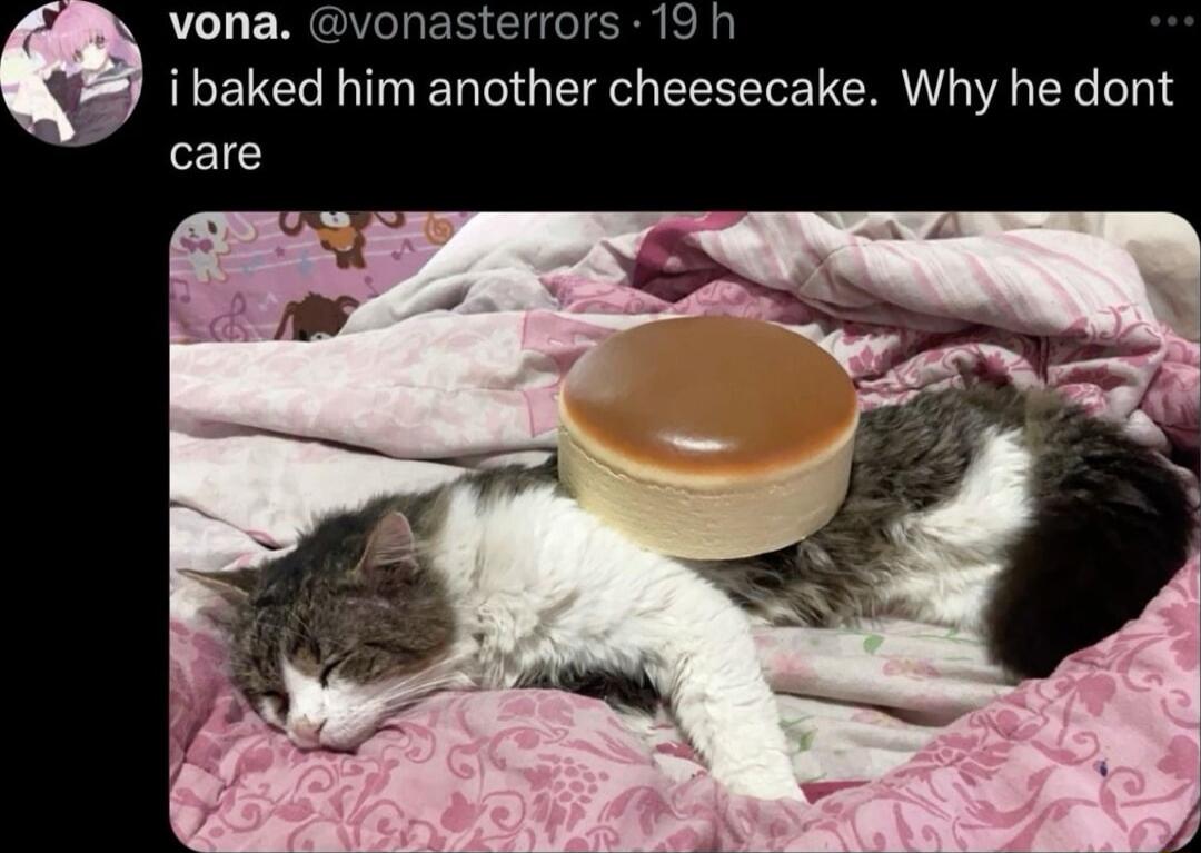 vona v 2rrors 19 h i baked him another cheesecake Why he dont care