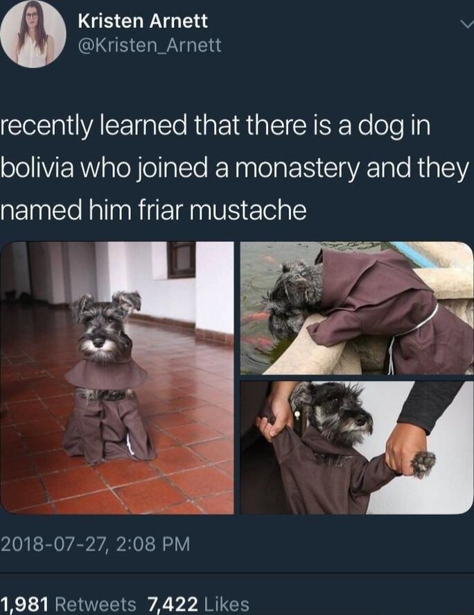 LGEELPNGTE v CLGB GRS CERUAEIR IO RGPS Y RYe ol I o bolivia who joined a monastery and they named him friar mustache L s e 2018 07 27 208 PM 1981 Retweets 7422 Likes