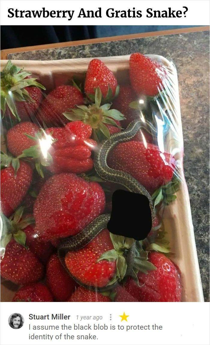 Strawberry And Gratis Snake Stuart Miller assume the black blob is to protect the identity of the snake