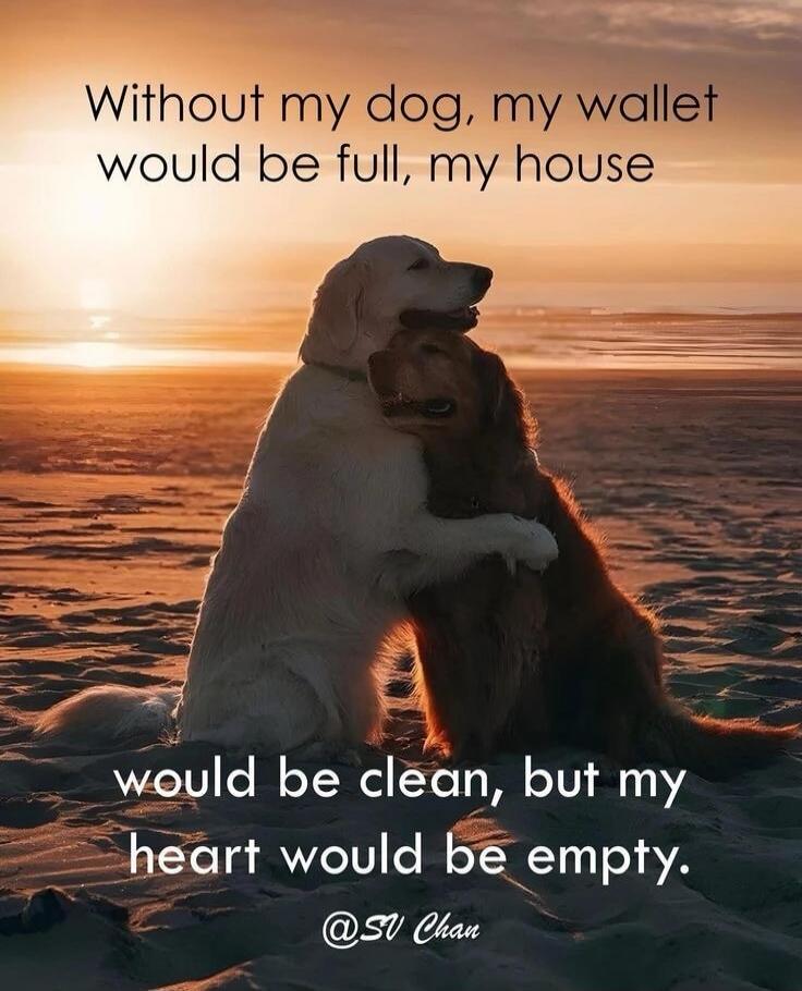 Without my dog, my wallet would be full, my house would be clean, but my heart would be empty. @SV Chan