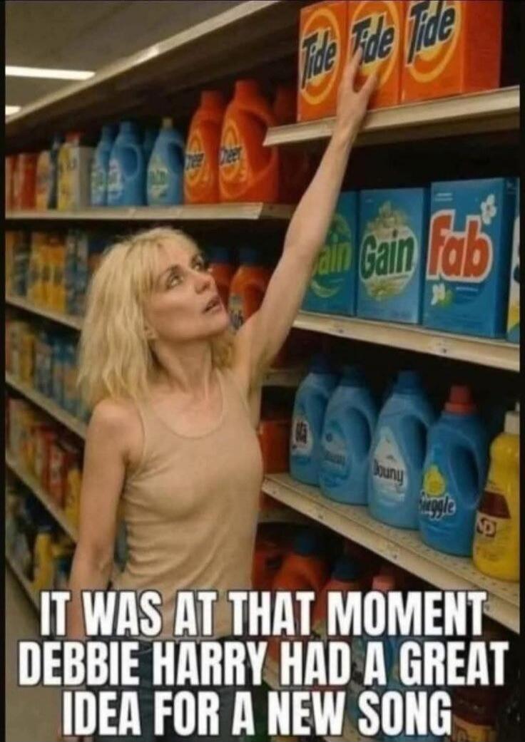 Tide Tide Tide Gain Gain Fab IT WAS AT THAT MOMENT DEBBIE HARRY HAD A GREAT IDEA FOR A NEW SONG