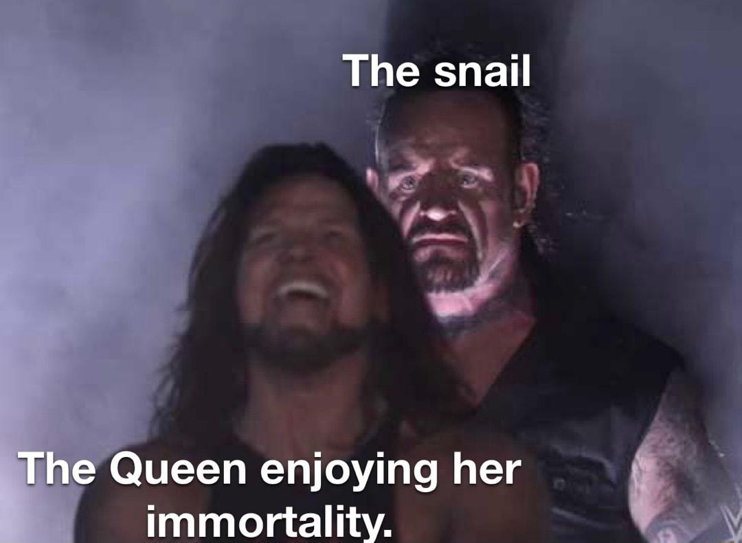The snail ueen enjoying her immortality