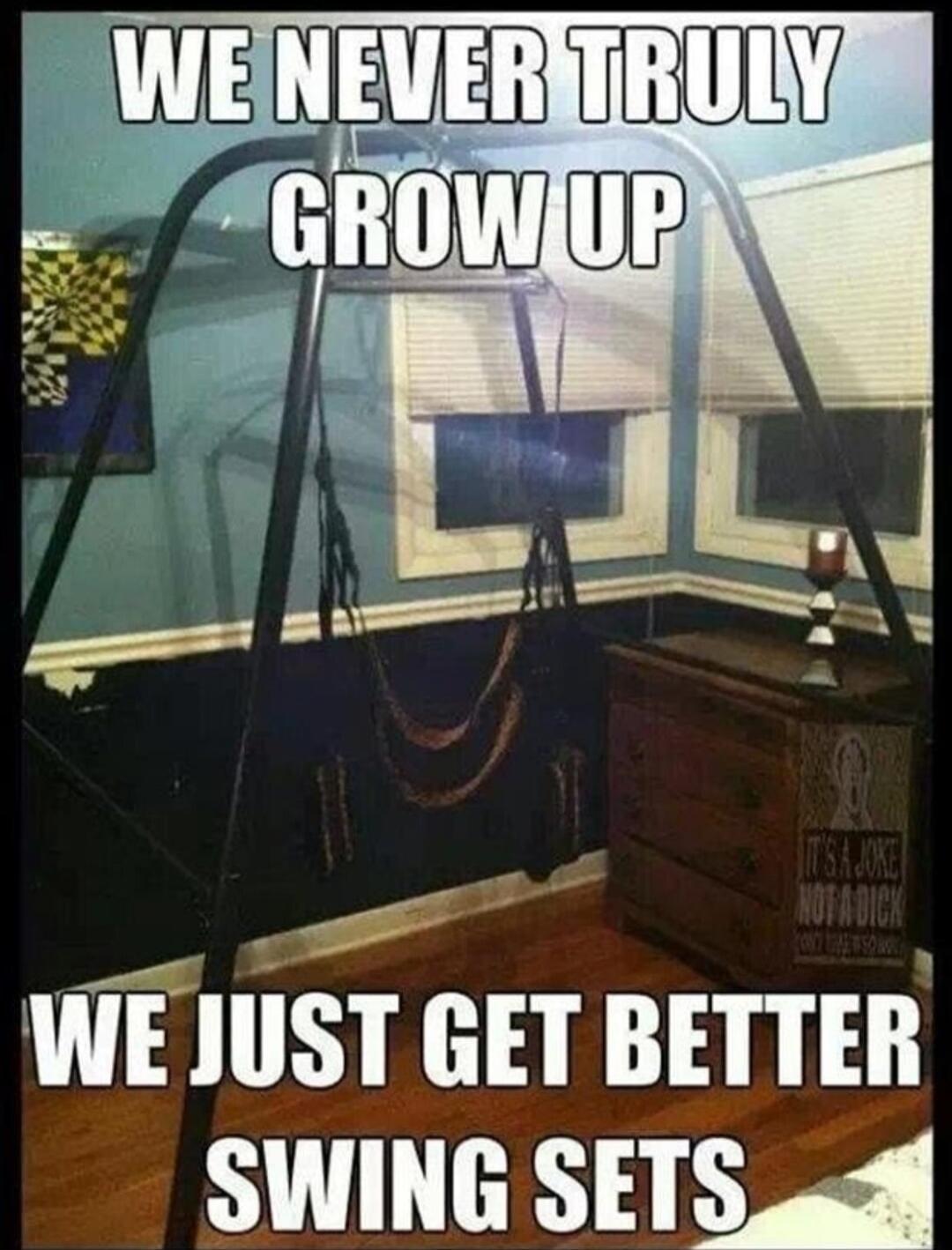 WE NEVER TRULY GROW UP WE JUST GET BETTER SWING SETS. IT'S A JOKE NOT A DICK DON'T TAKE IT SO HARD.