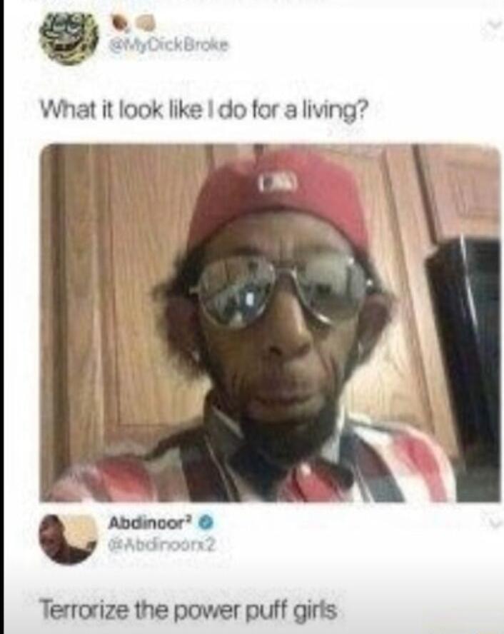 b What it look like do for a living Terrorize the power puff girls