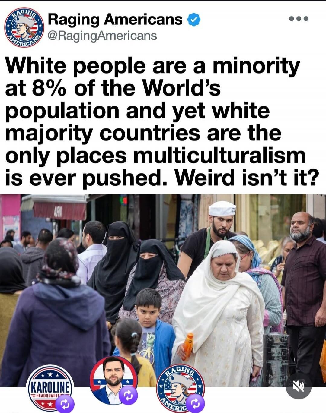 Raging Americans @RagingAmericans White people are a minority at 8% of the World's population and yet white majority countries are the only places multiculturalism is ever pushed. Weird isn't it?