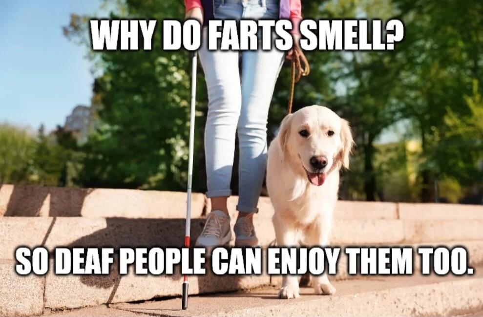 WHY DO FARTS SMELL? SO DEAF PEOPLE CAN ENJOY THEM TOO.