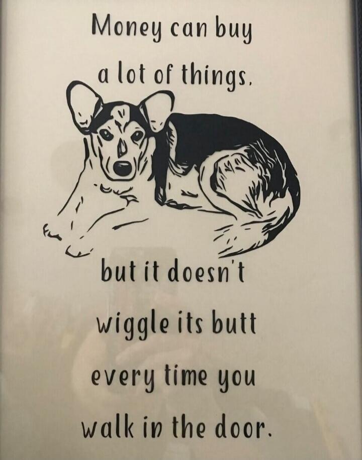 Money can buy a lot of things, but it doesn't wiggle its butt every time you walk in the door.