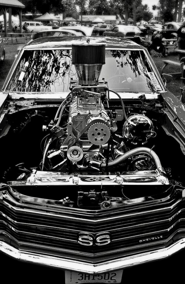 SS
CHEVELLE
License plate: 3HF502