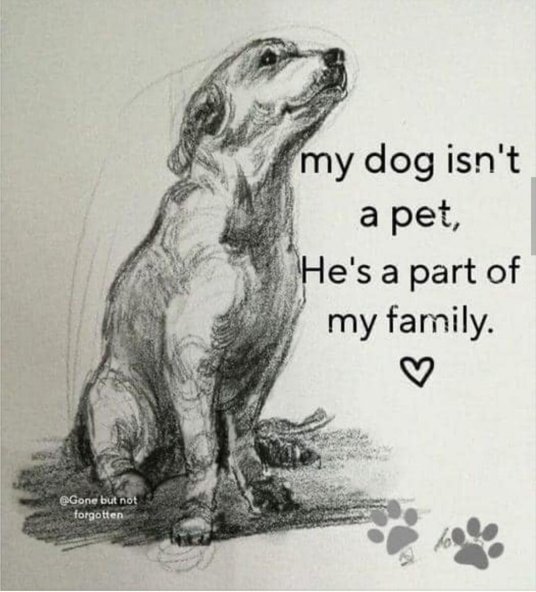 my dog isn't a pet, He's a part of my family. @Gone but not forgotten