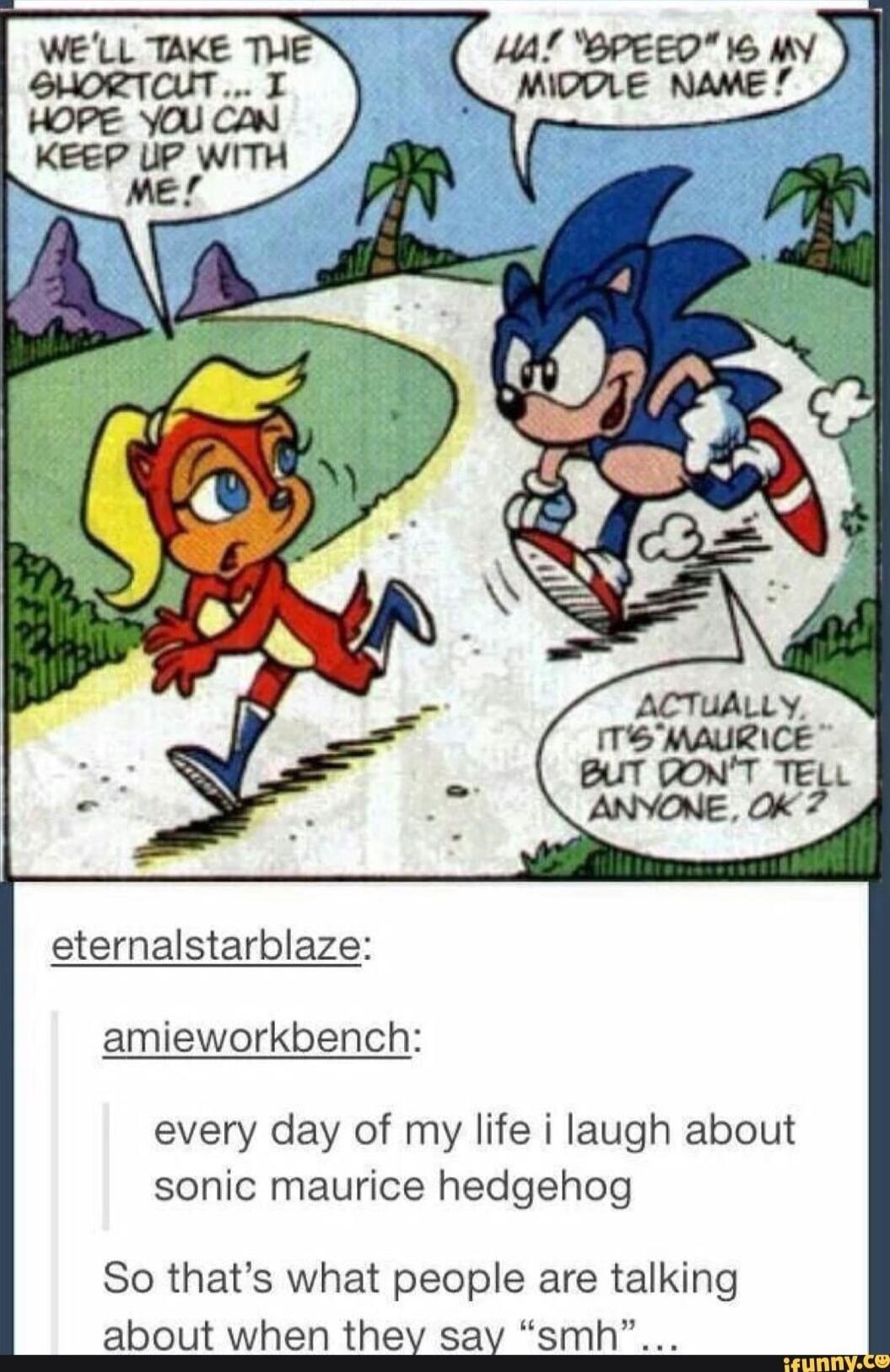 eternalstarblaze amieworkbench every day of my life i laugh about sonic maurice hedgehog So thats what people are talking about when they say smh