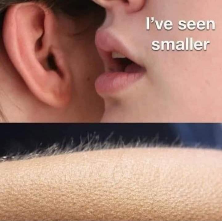 I've seen smaller