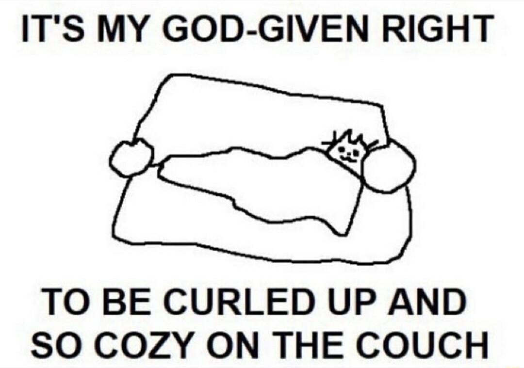 ITS MY GOD GIVEN RIGHT TO BE CURLED UP AND SO COZY ON THE COUCH