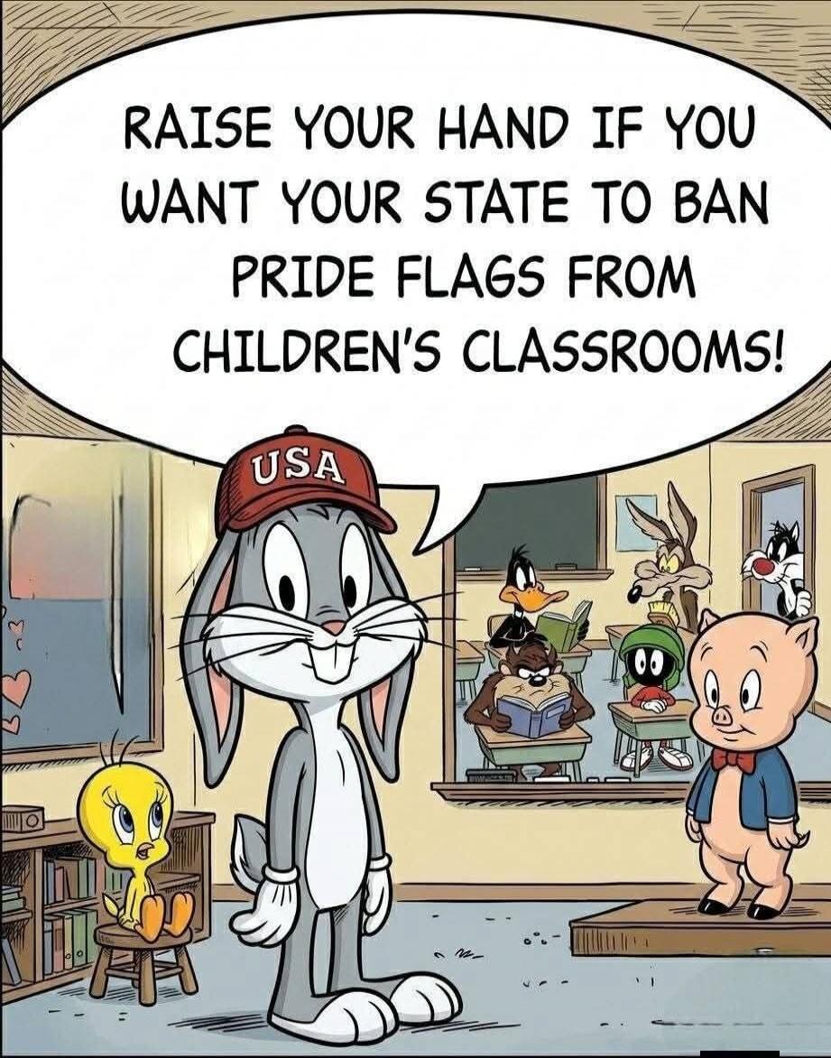 RAISE YOUR HAND IF YOU WANT YOUR STATE TO BAN PRIDE FLAGS FROM CHILDREN'S CLASSROOMS!