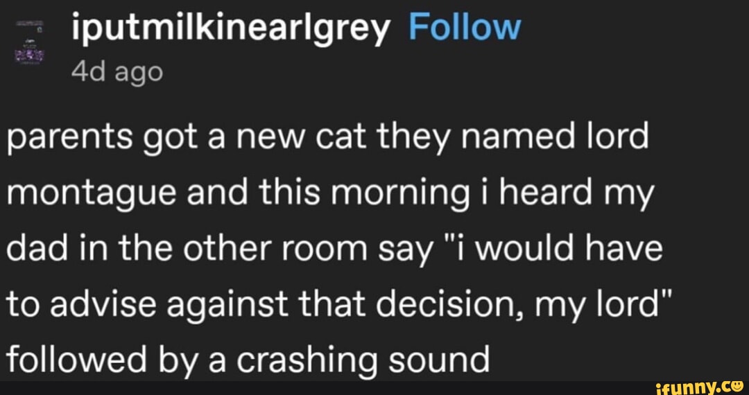 iputmilkinearigrey Follow 4d ago parents got a new cat they named lord montague and this morning i heard my dad in the other room say i would have to advise against that decision my lord followed by a crashing sound ey