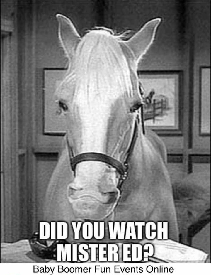 DIDYOU WATCH MISTERIEDD Boomer Fun Events Online 12K Comments