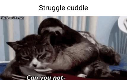 Struggle cuddle N L