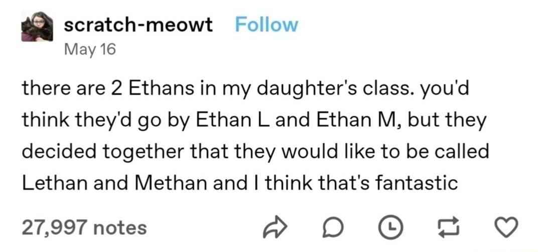 scratch meowt Follow May 6 there are 2 Ethans in my daughters class youd think theyd go by Ethan L and Ethan M but they decided together that they would like to be called Lethan and Methan and think thats fantastic 27997 notes D 0O Q