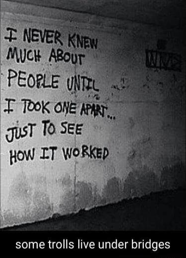 some trolls live under bridges