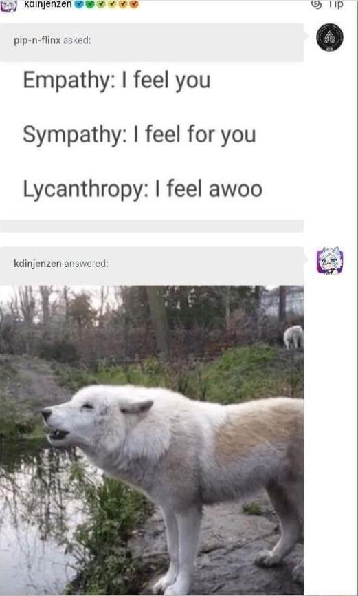 Wnnveveee i Empathy feel you Sympathy feel for you Lycanthropy feel awoo kdinjenzen answered e