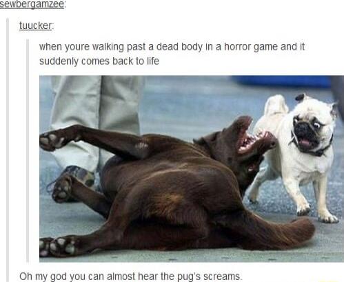 when youre walking past a dead body In a horror game and it suddenly comes bac