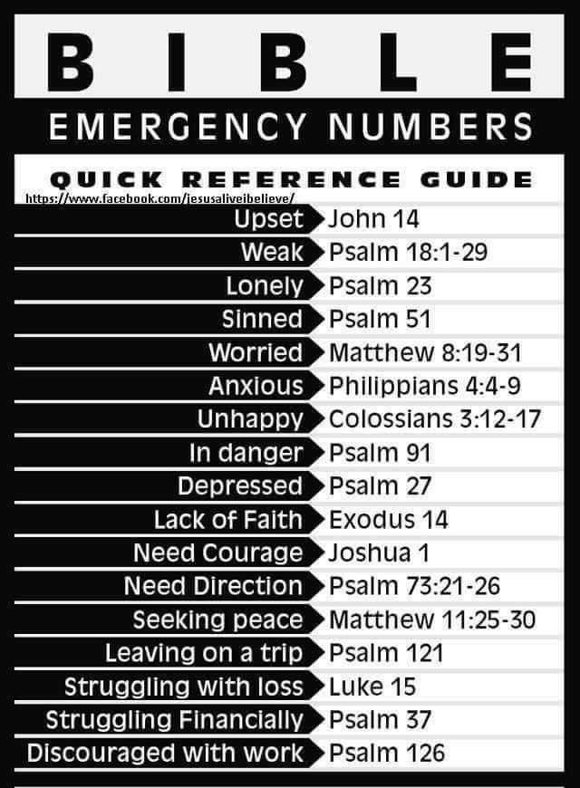 B 1 BLE EMERGENCY NUMBERS QUICK REFERENCE GUIDE https Iy iveibelis Sinned Worried In danger Depressed Lack of Faith Need Courage Need Direction Seeking peace Leaving on a trip Struggling with loss Struggling Financially Discouraged with work John14 Psalm 181 29 Psalm 23 Psalm 51 Matthew 819 31 Psalm 91 Psalm 27 Exodus 14 Joshua1 Psalm 7321 26 Matthew 1125 30 Psaim 121 Luke 15 Psalm 37 Psalm 126