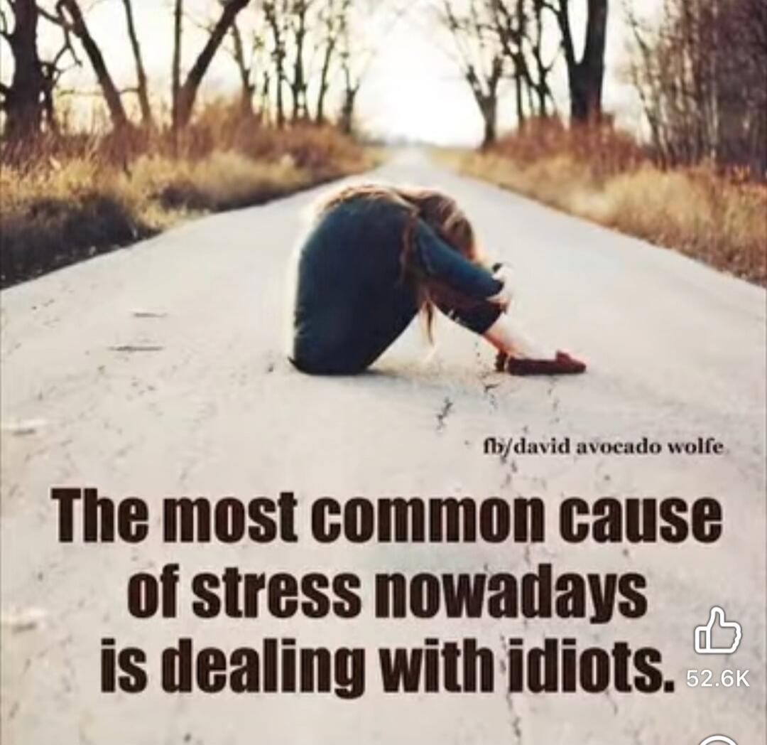 The most common cause of stress nowadays is dealing with idiots. fb/david avocado wolfe