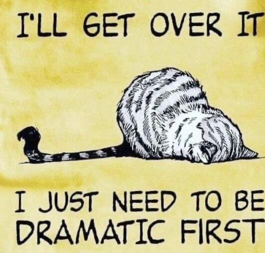 TLL 6ET OVER IT i T sl o I JUST NEED TO BE DRAMATIC FIRST