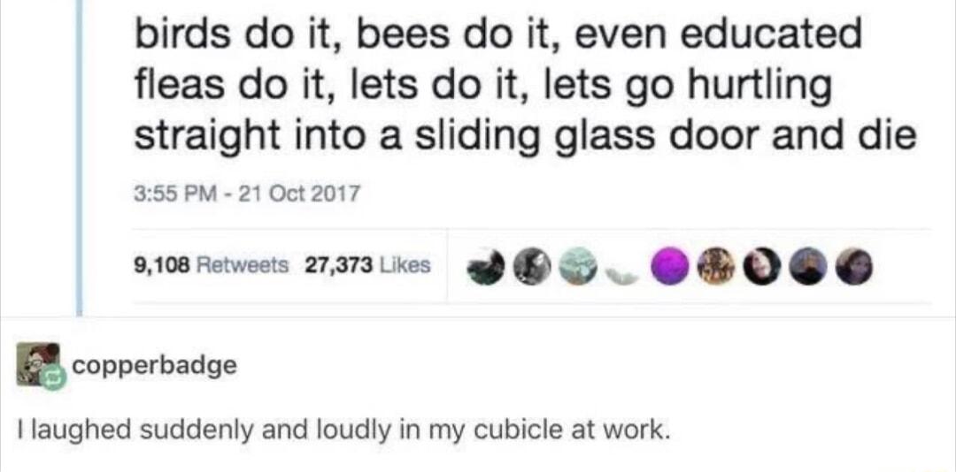 birds do it bees do it even educated fleas do it lets do it lets go hurtling straight into a sliding glass door and die 355 PM 21 Oct2017 9108 Retweets 233 Lkes Y E copperbadge 11aughed suddenly and loudly in my cubicle at work