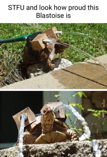 STFU and look how proud this Blastoise is