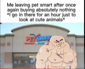 Me aagln pet bsmlan er crlrce again g absolutely nothing goin tKere for an hour just to look at cute animals