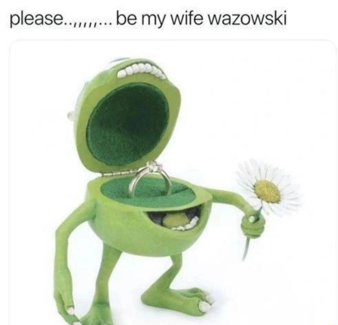 please be my wife wazowski