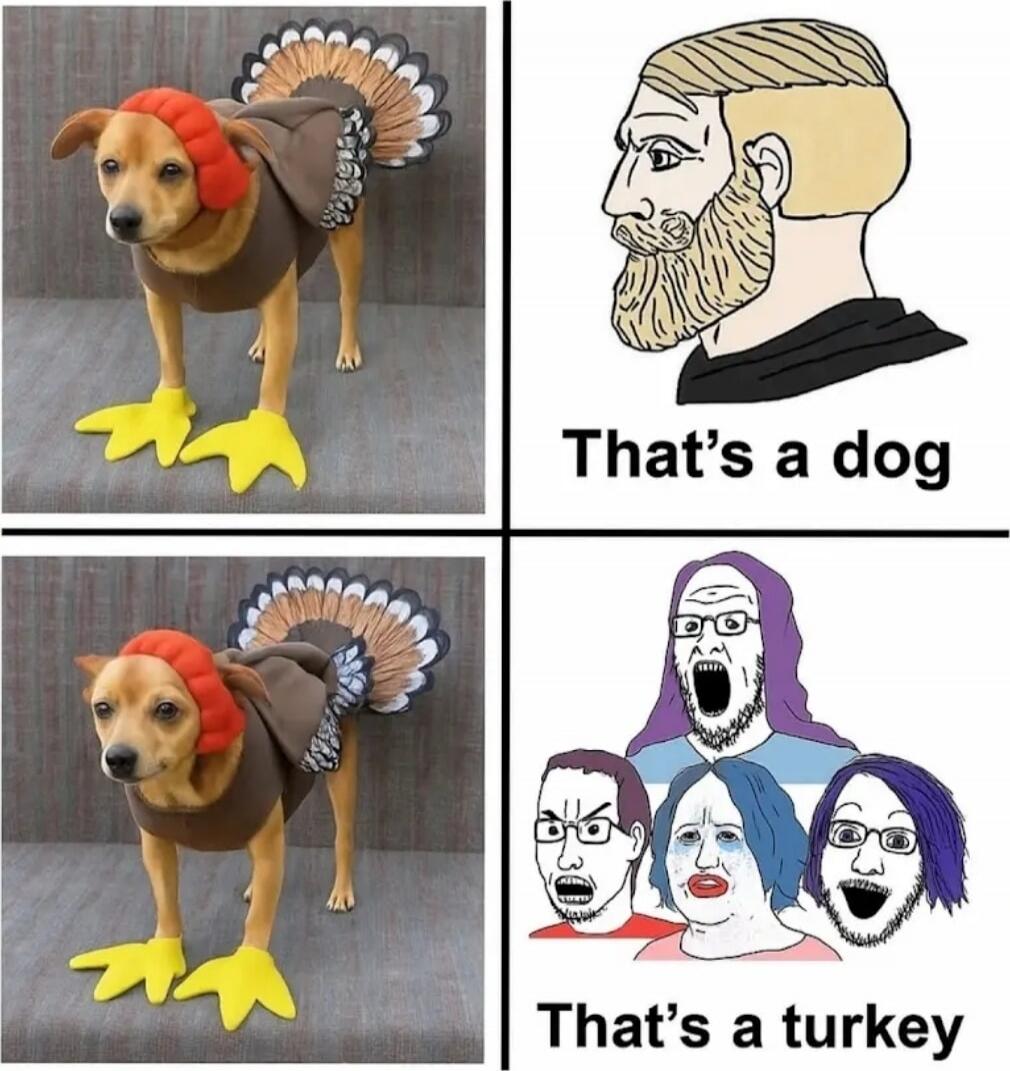 That's a dog
That's a turkey