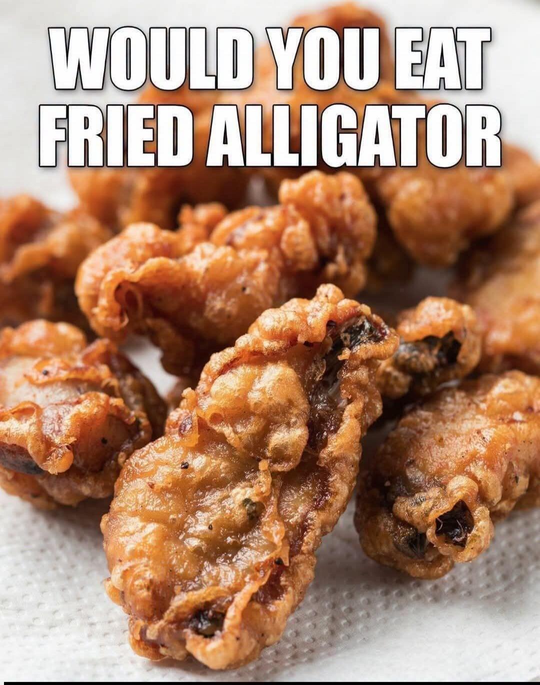 WOULD YOU EAT FRIED ALLIGATOR