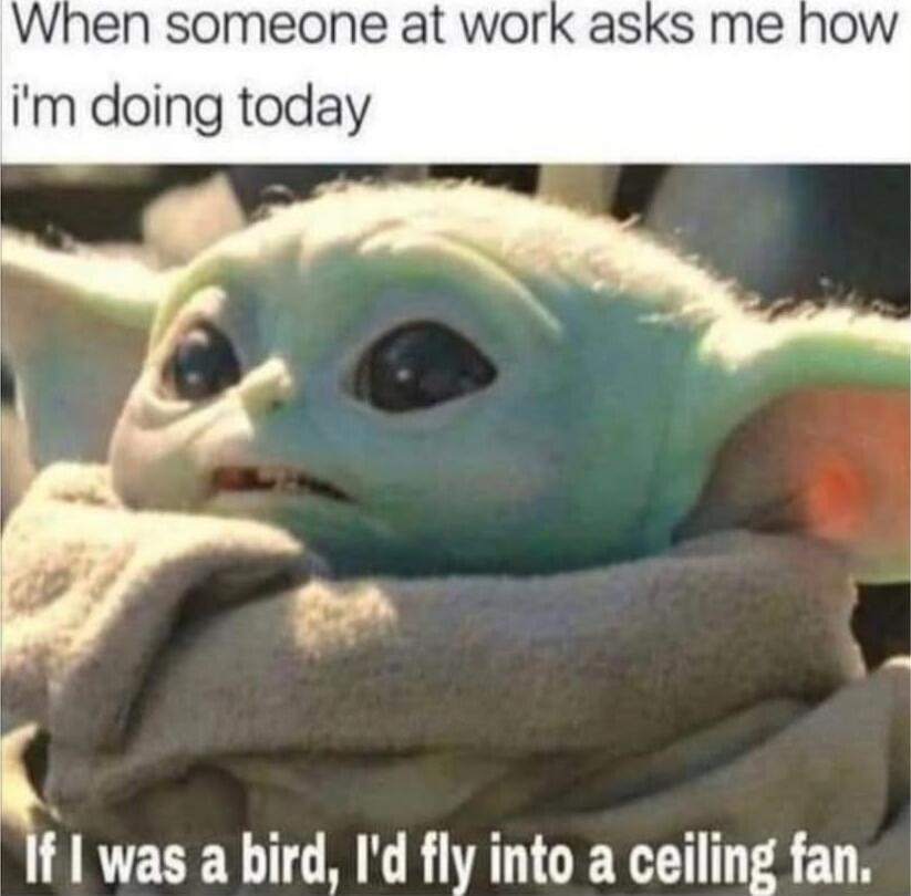 When someone at work asks me how i'm doing today
If I was a bird, I'd fly into a ceiling fan.